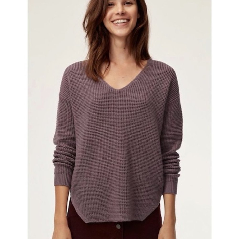 Aritzia Wilfred Free Sweater